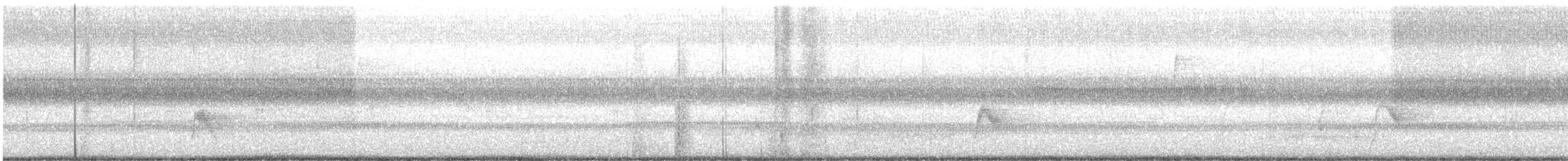 קיכלי אפור-לחי - ML642301407