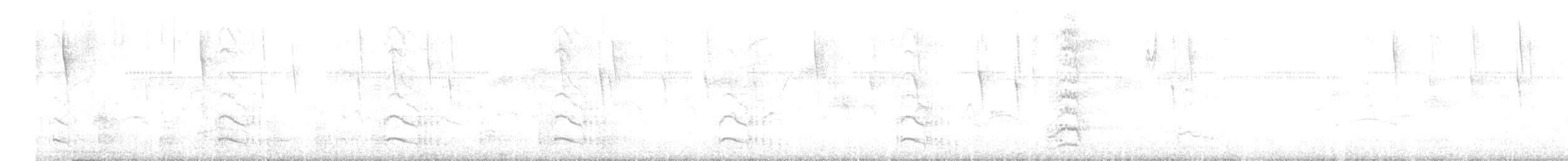 Chapman's Swift - ML642301909