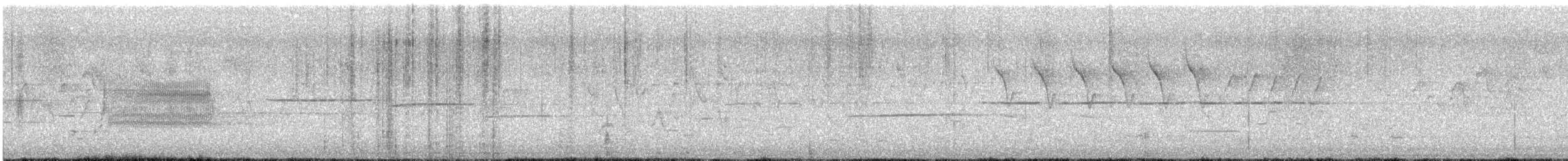Nashville Warbler - ML642305225