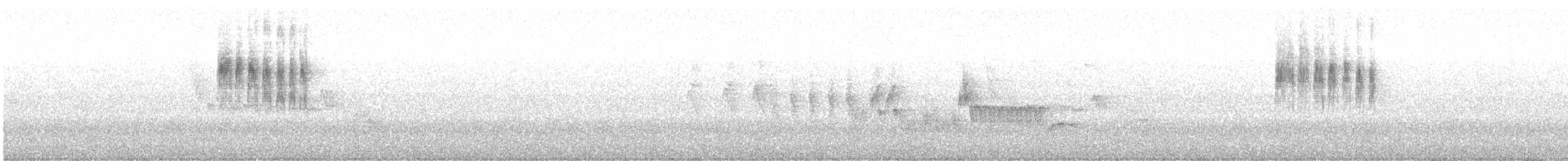 gråryggnålstjert - ML642306024