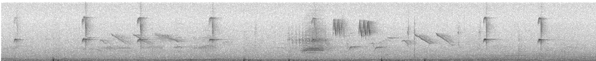 Colibri géant - ML642306223