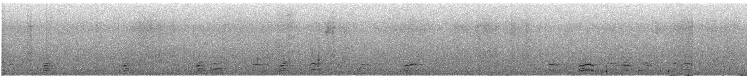 Snow Goose - ML642306230