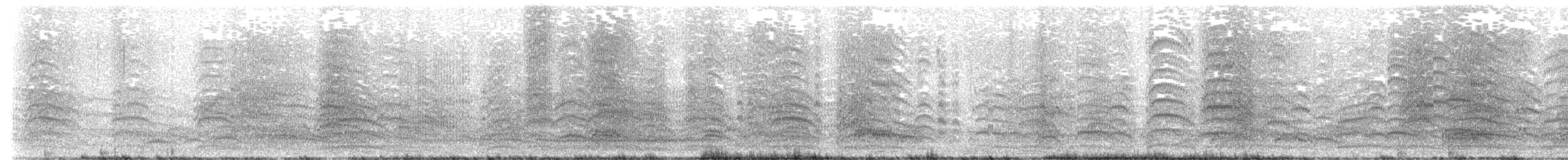 Brown-hooded Gull - ML642306353