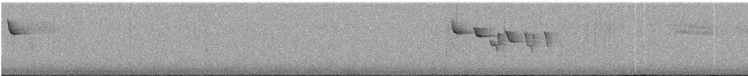 Amerika Tırmaşıkkuşu (pernigra) - ML64230641