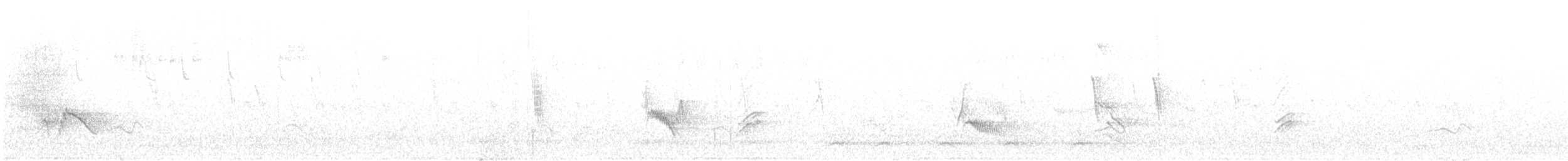 Plumbeous Vireo - ML642306785