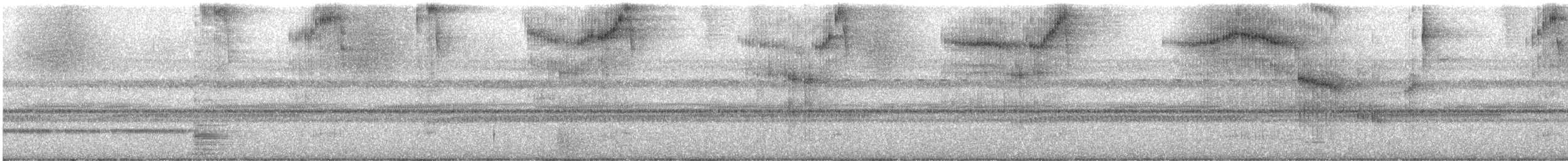sotslørugle (multipunctata) (fantomsløugle) - ML642306875