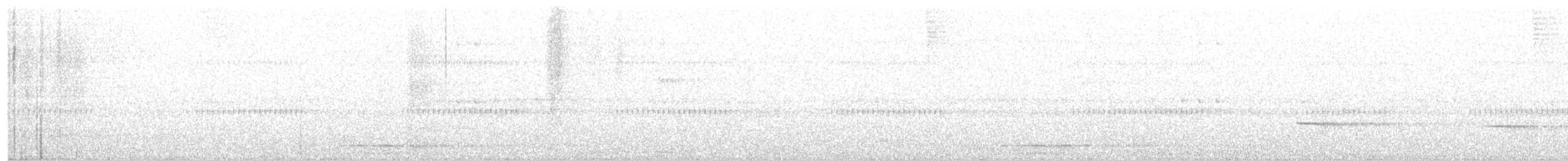 Collared Forest-Falcon - ML642310374