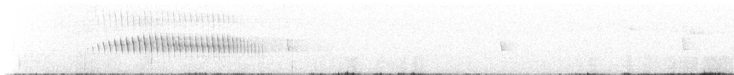 Long-tailed Cinclodes (Long-tailed) - ML642310637