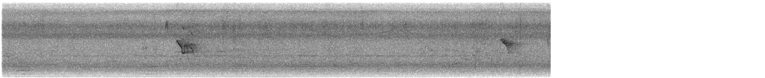Social Flycatcher - ML642311662