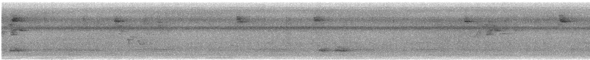 メジロヒメモズモドキ - ML642312092