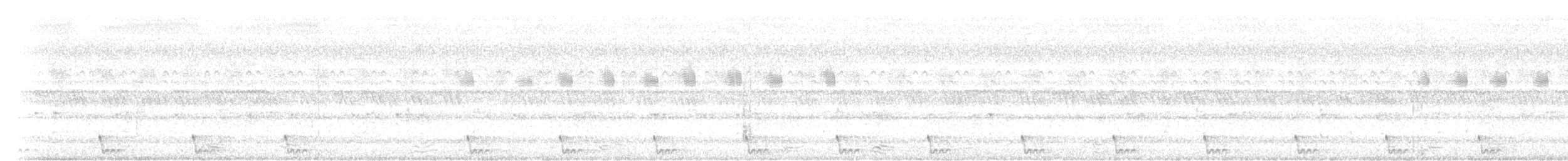 Large-tailed Nightjar - ML642312179