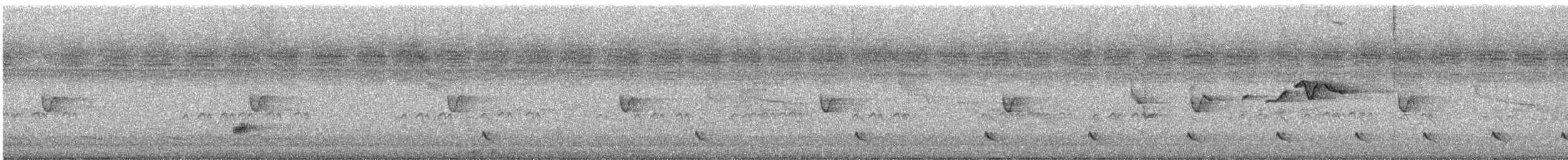 Black-striped Sparrow - ML642312283