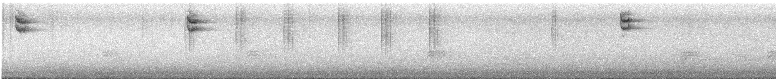 new world sparrow sp. - ML642315702
