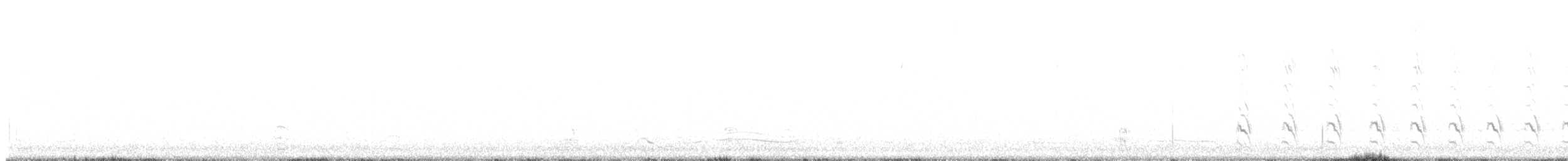 Pic des saguaros - ML642315946