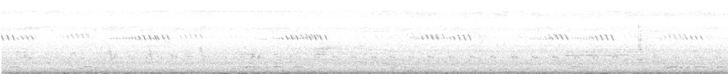 Zebra Dove - ML642316862