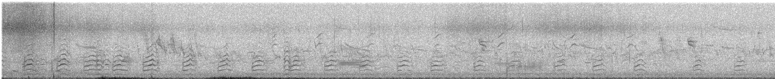 Pied Stilt - ML642317863