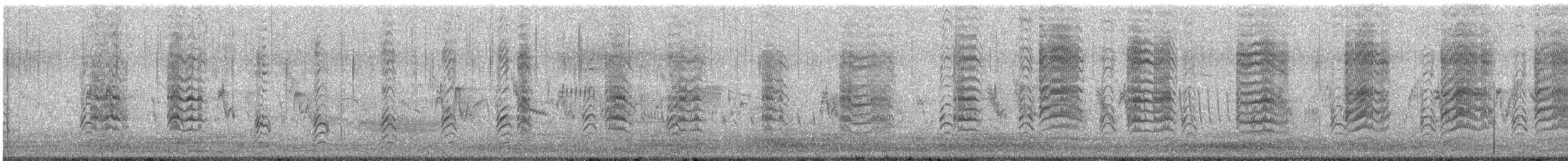 Pied Stilt - ML642317864