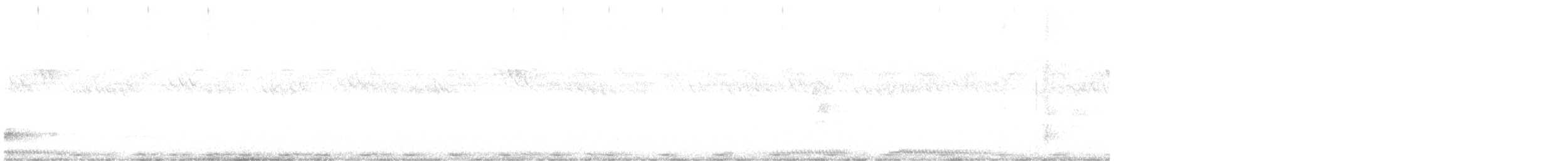 Greater Coucal - ML642317924