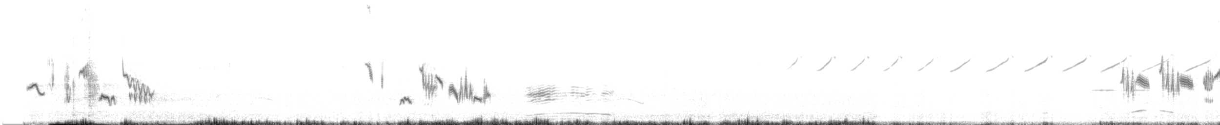 Variable Wheatear - ML642318695