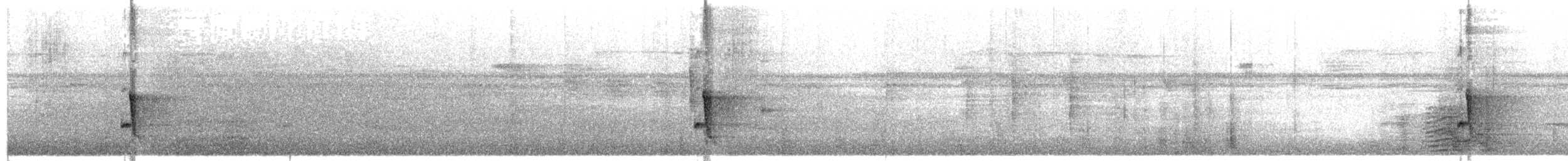 Riverside Wren - ML642318982