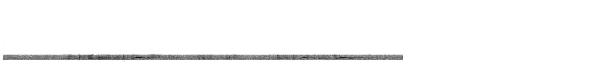 holub krátkozobý - ML642319013