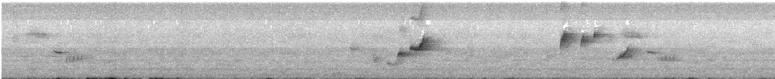 østbørstefugl - ML642319675