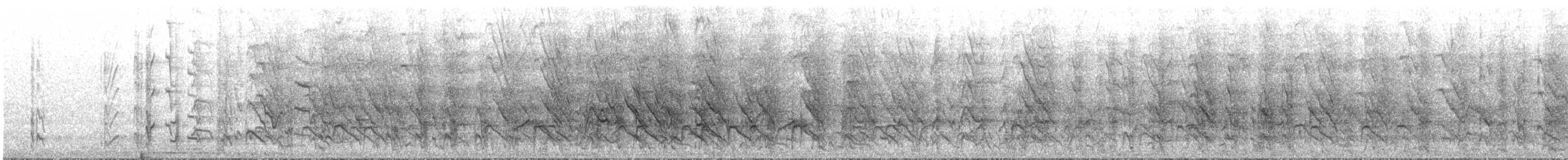 Australian Ringneck - ML642320579