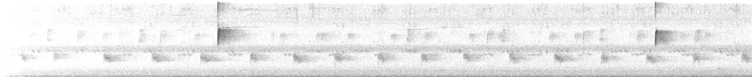 Carolina Wren - ML642321434