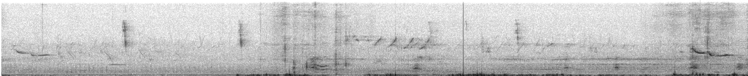 White-tailed Iora - ML642322296
