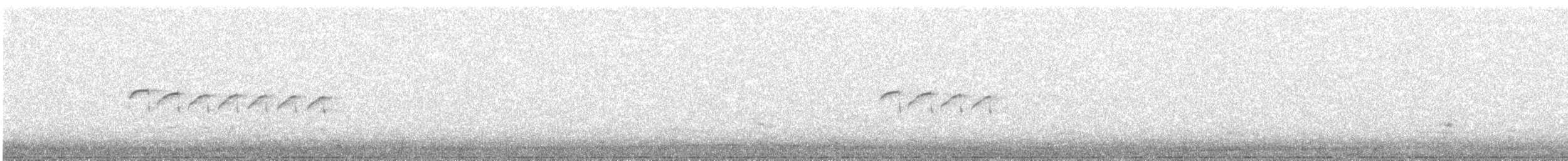Common Sandpiper - ML642323330