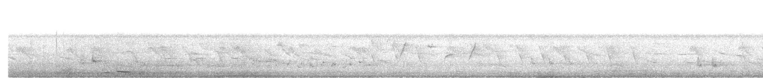 barbet čárkovaný - ML642325615