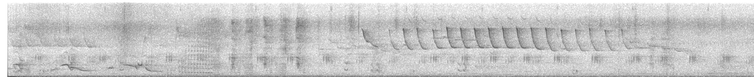 Satin Bowerbird - ML642326791