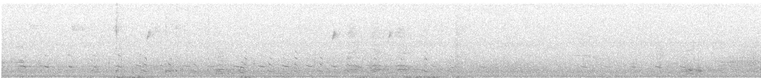 American Herring Gull - ML642327131