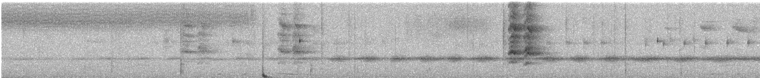 Maroon-tailed Parakeet - ML642327324