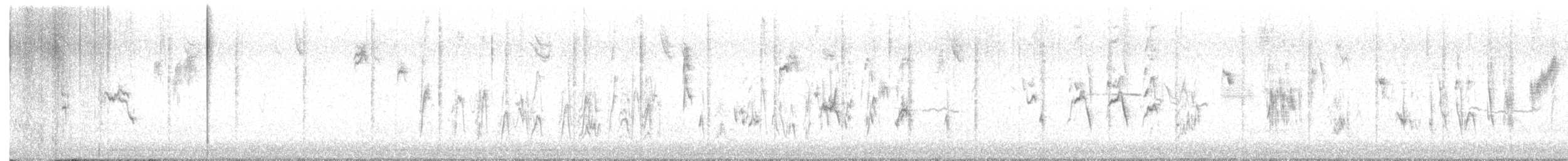Bruant à couronne blanche - ML642328856