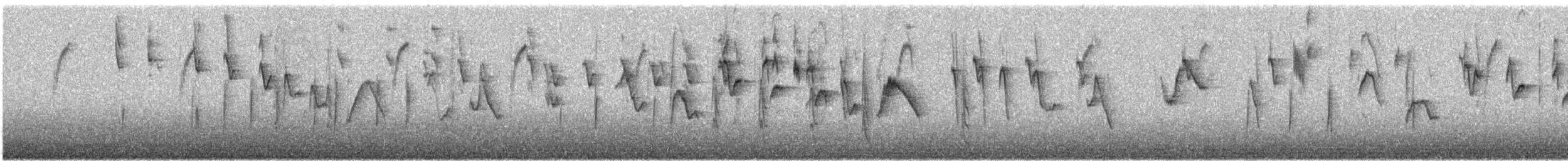 Tohi à nuque claire - ML642329137