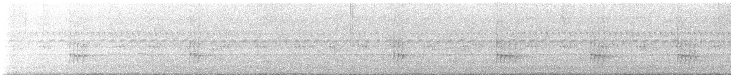 チャバラマユミソサザイ - ML642331016