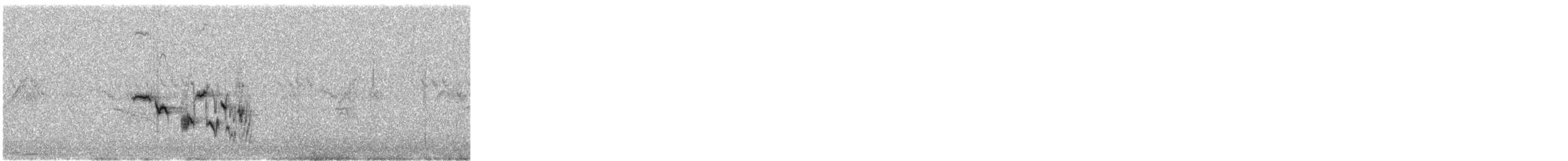 Variable Wheatear - ML642331210