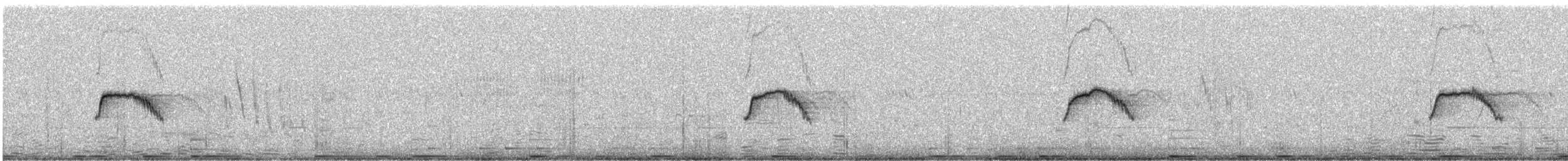 Variable Wheatear - ML642331211