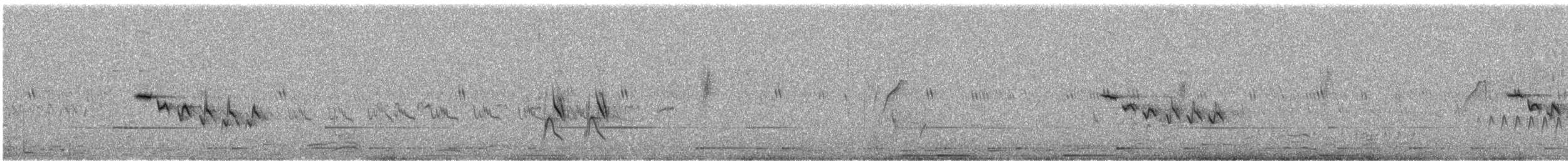 Variable Wheatear - ML642331212