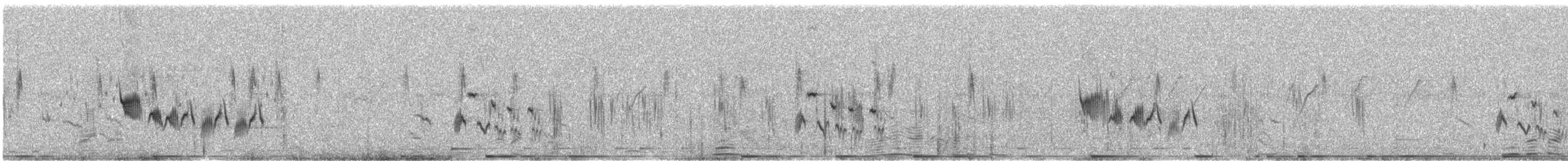 Variable Wheatear - ML642331213