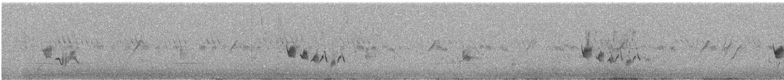 Variable Wheatear - ML642331214