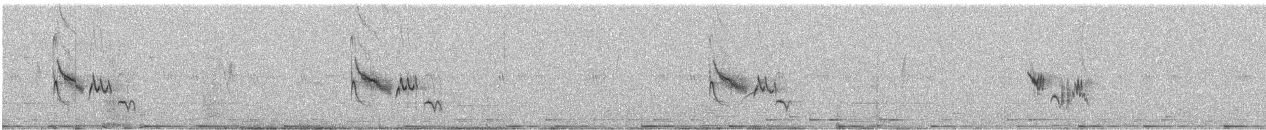 Variable Wheatear - ML642331216