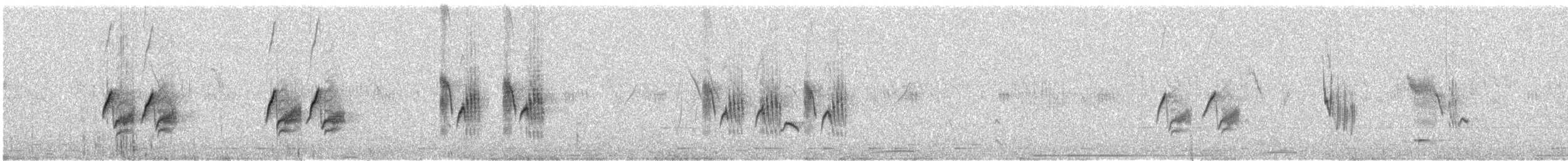 Variable Wheatear - ML642331217