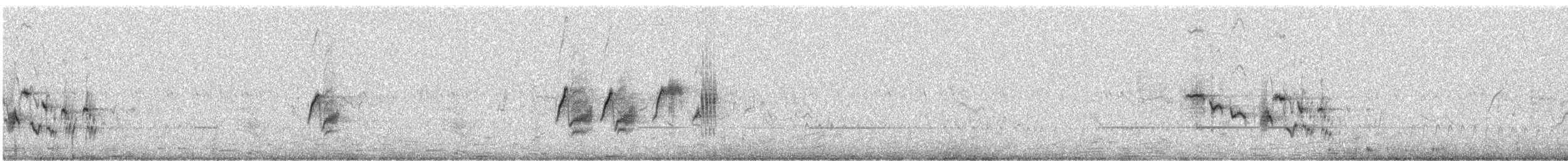 Variable Wheatear - ML642331218