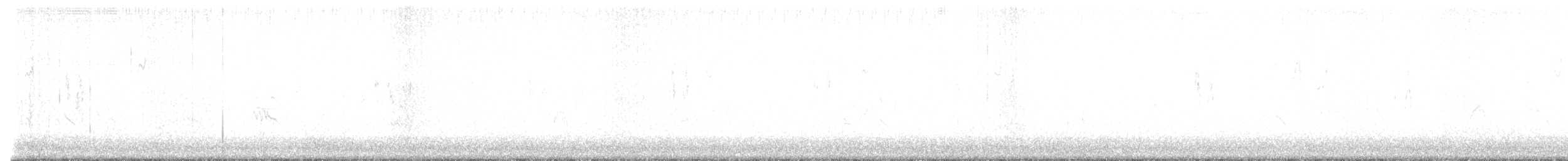 Bergeronnette grise (yarrellii) - ML642332045