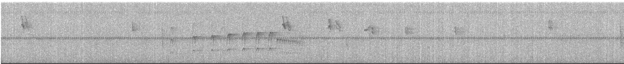 Plumbeous-crowned Tyrannulet - ML642332565