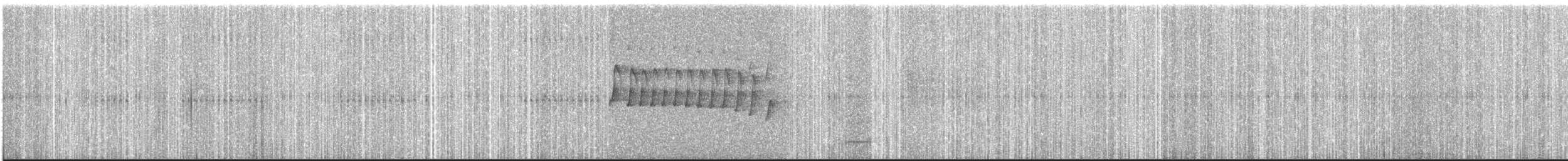 Rufous-browed Tyrannulet - ML642332580