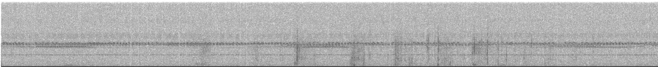 Black-banded Owl - ML642332644