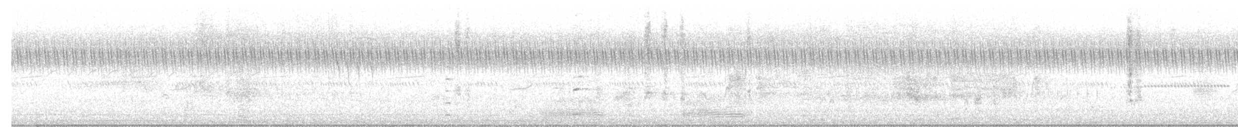 Tringa sp. - ML642332689